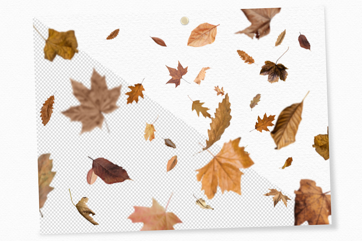Autumn Leaves Overlays