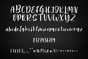 Premium Fonts Collection, a Handwritten Font by OWPictures (Thumbnail 5 of 5)