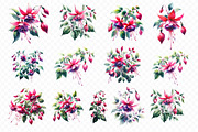 Watercolor Fuchsia Flowers Clipart, a Work Illustration by Dream Creation (Thumbnail 2 of 4)