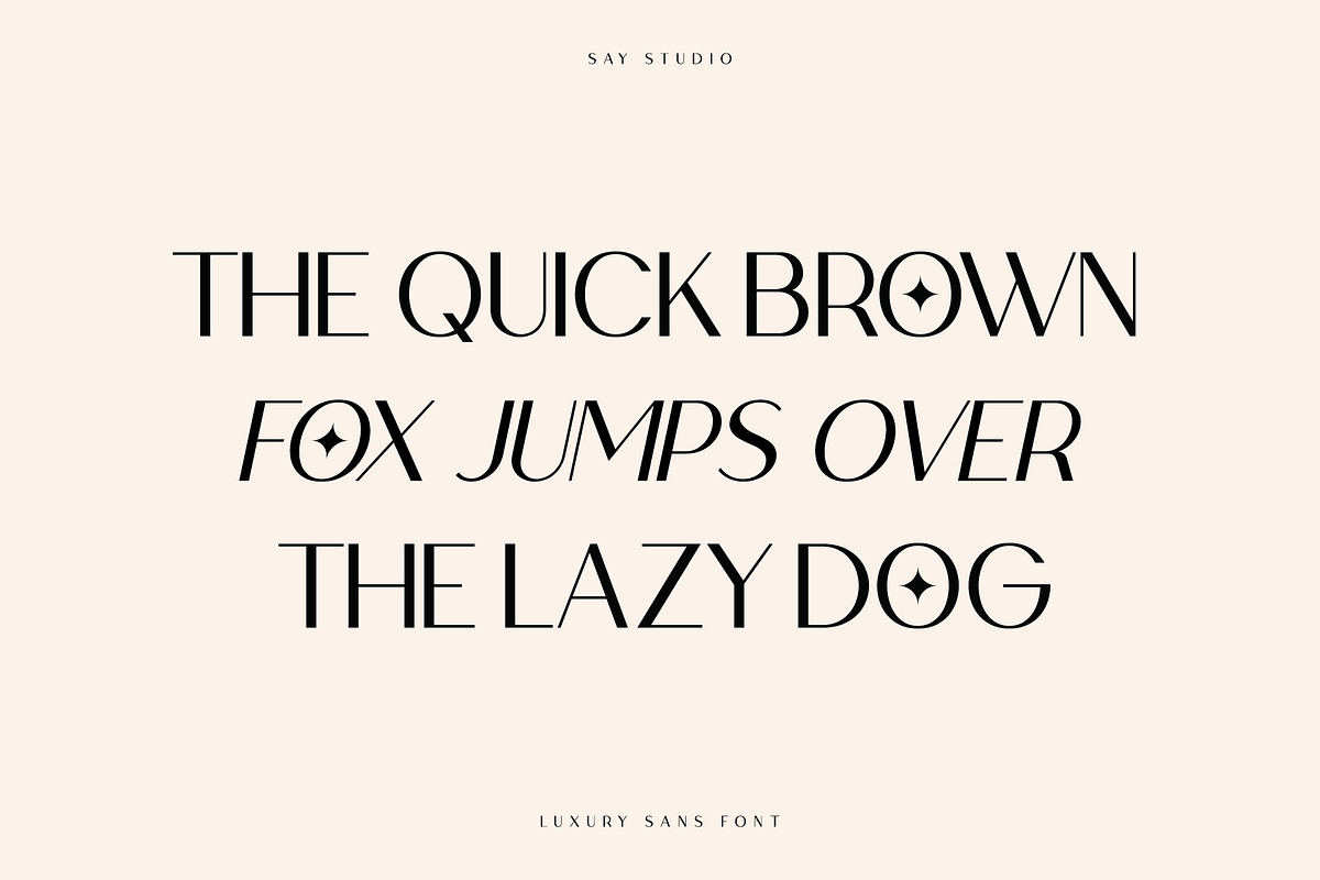Loving Ambros, a Sans Serif Font by Say Studio (Photo 10 of 15)