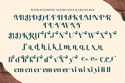 Esthetic Beauty - Elegant Modern, a Serif Font by Shakira Studio (Thumbnail 10 of 10)