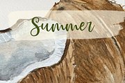 Coconut Life Cycle Clip Arts & Print, an Education Illustration by Tati Bordiu (Thumbnail 4 of 5)