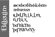 Balguin, a Serif Font by Muksal Creative (Thumbnail 9 of 9)
