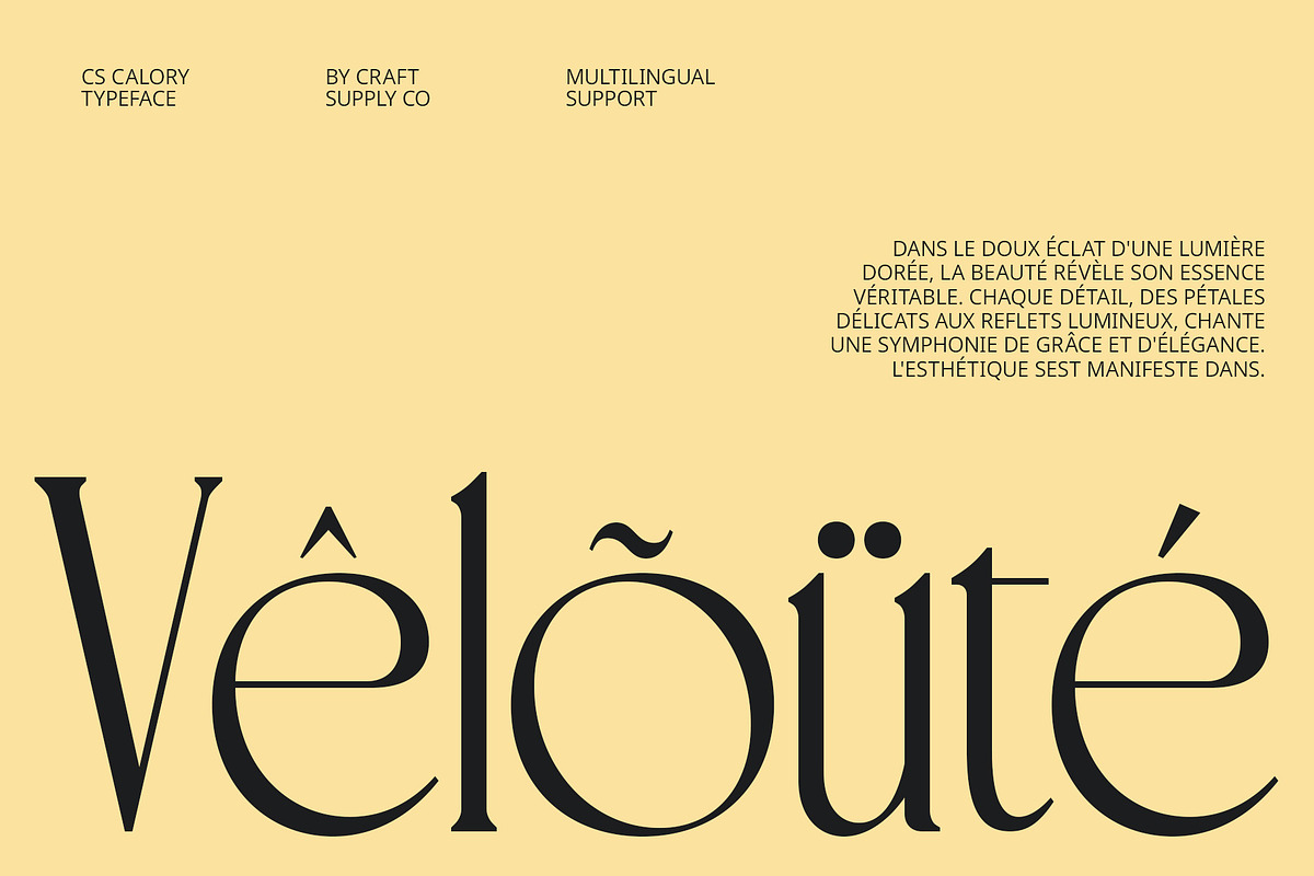 CS Calory – Elegant Font, a Serif Font by Craft Supply Co. (Photo 4 of 8)