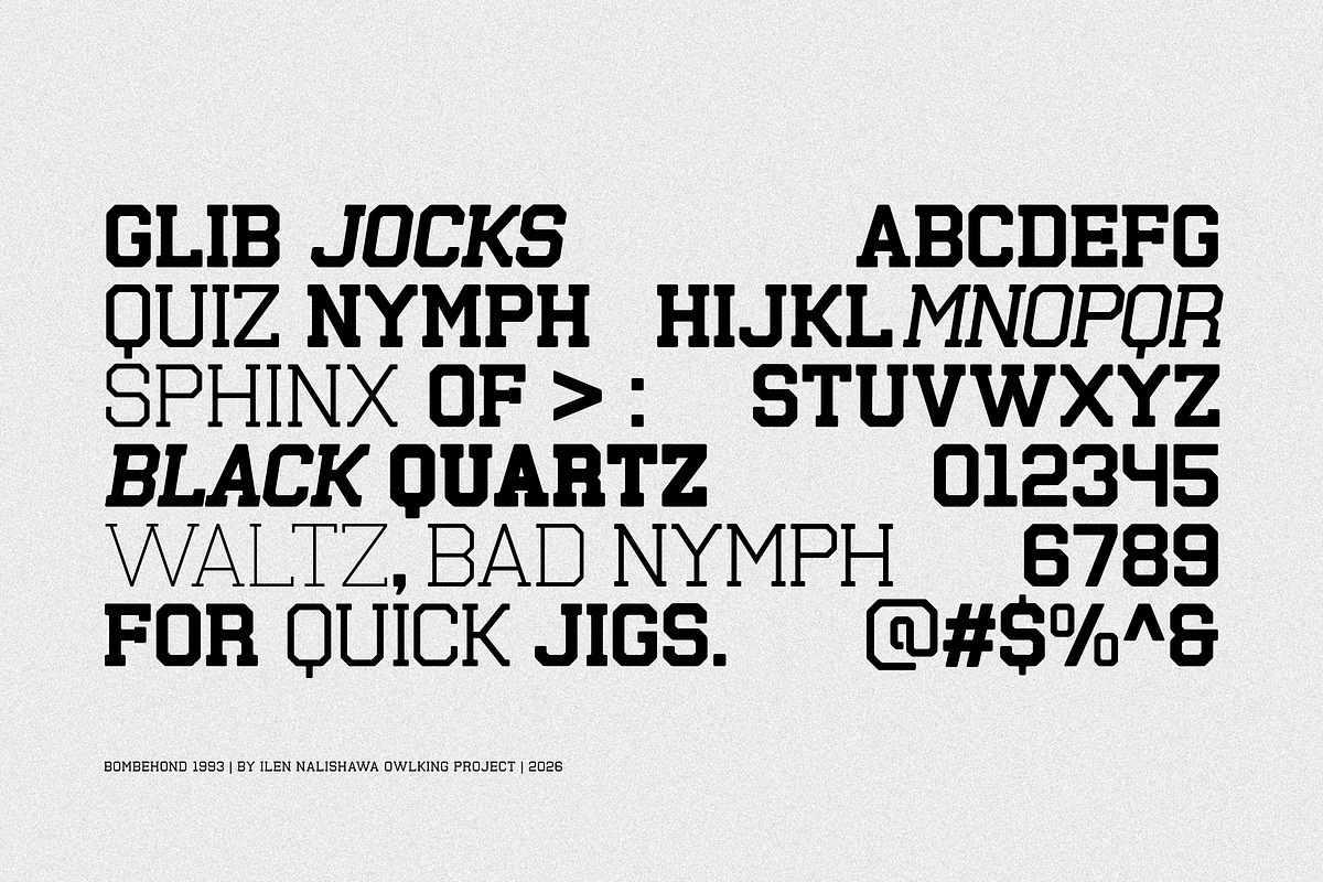 Bombehond 1993, a Sans Serif Font by OWL KING (Photo 3 of 9)