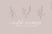 Wild flowers illustration clipart, an Illustration by Angele Kamp (Thumbnail 1 of 15)