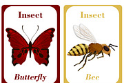 Insects Flash Cards for Kids, a Card Template by DigitalsDesigns (Thumbnail 2 of 5)