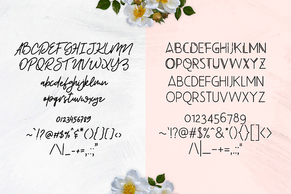 Beauty Salon Modern Font Duo preview 8