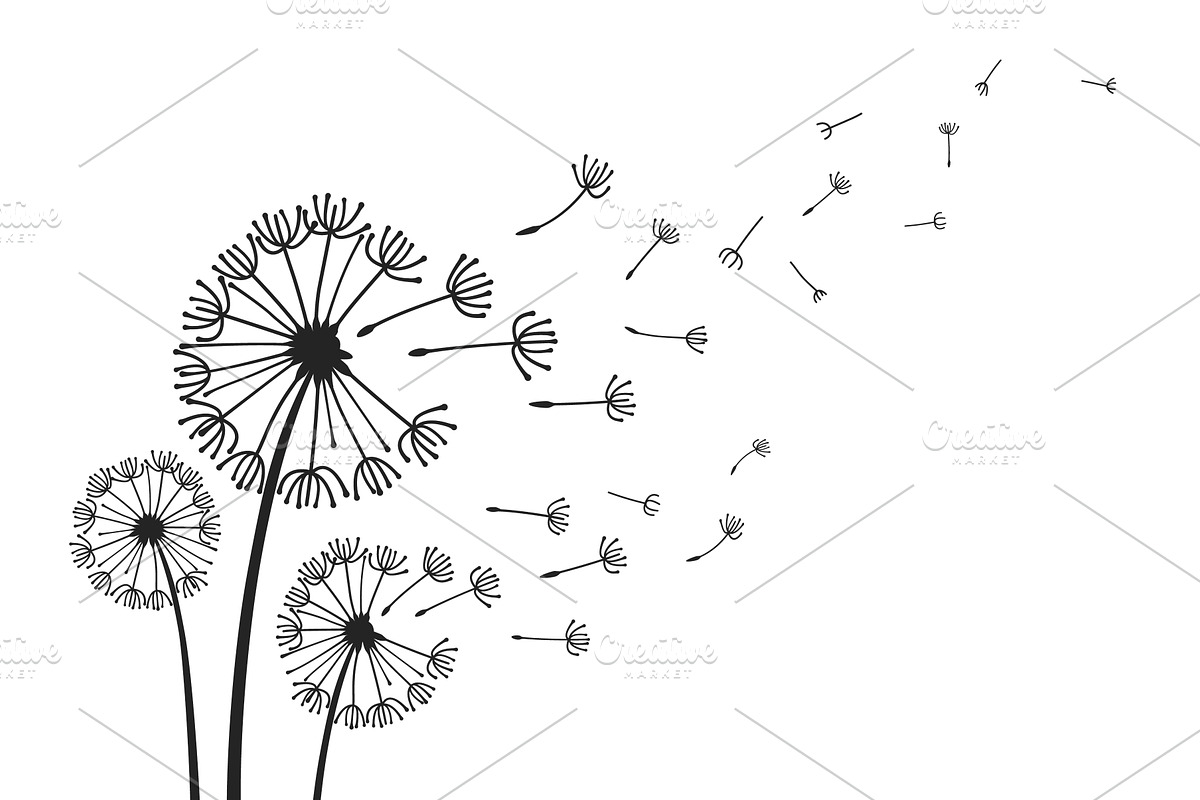Dandelions with flying seeds, fluffy, a Background Graphic by Frogella
