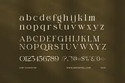 Gadies Elegant Serif Font, a Serif Font by Elegant Font (Thumbnail 7 of 8)