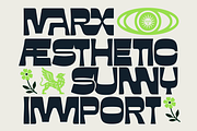 Fd- Sunn Neo Psychedelic Font, a Sans Serif Font by Fortunes Co (Thumbnail 2 of 12)