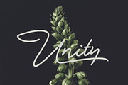 Bullstander 6 Font Set - 60% OFF, a Script Font by Dirtyline Studio (Thumbnail 8 of 16)