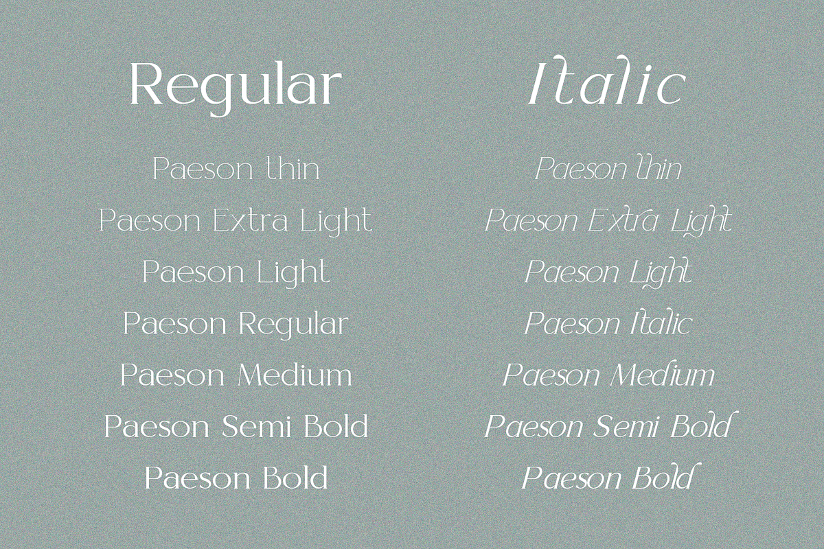Paseon Simple & Stylish Serif Font, a Serif Font by BOOSH Studio (Photo 7 of 13)