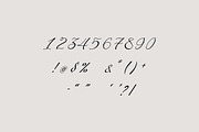 Angelina Rosemary Script Wedding, a Script Font by UICreative (Thumbnail 7 of 13)