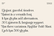 Hattori Elegant Font, a Serif Font by Zane Studio (Thumbnail 7 of 13)