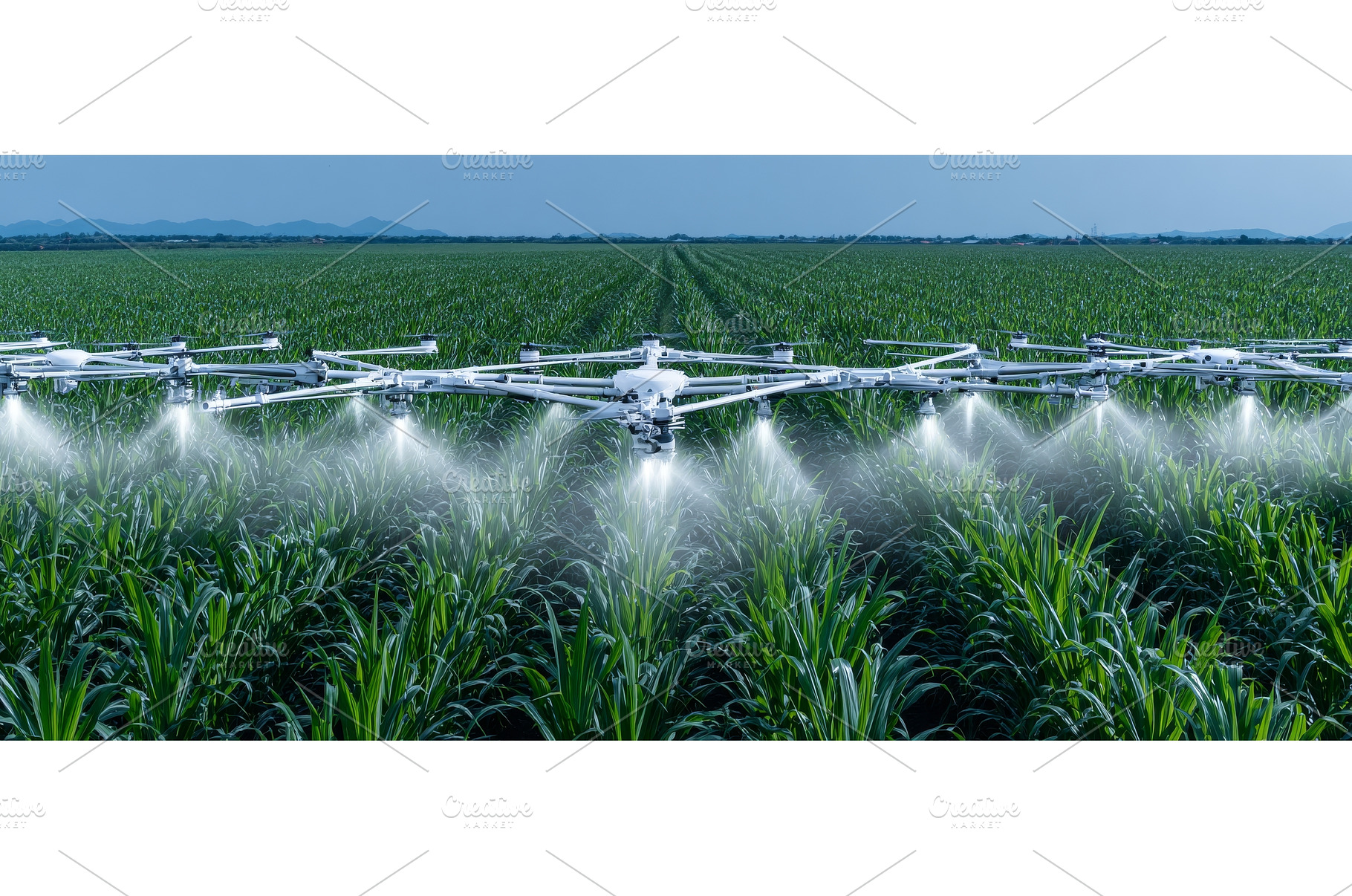 The concept of iot smart agriculture, a Technology Photo by ZinetroN