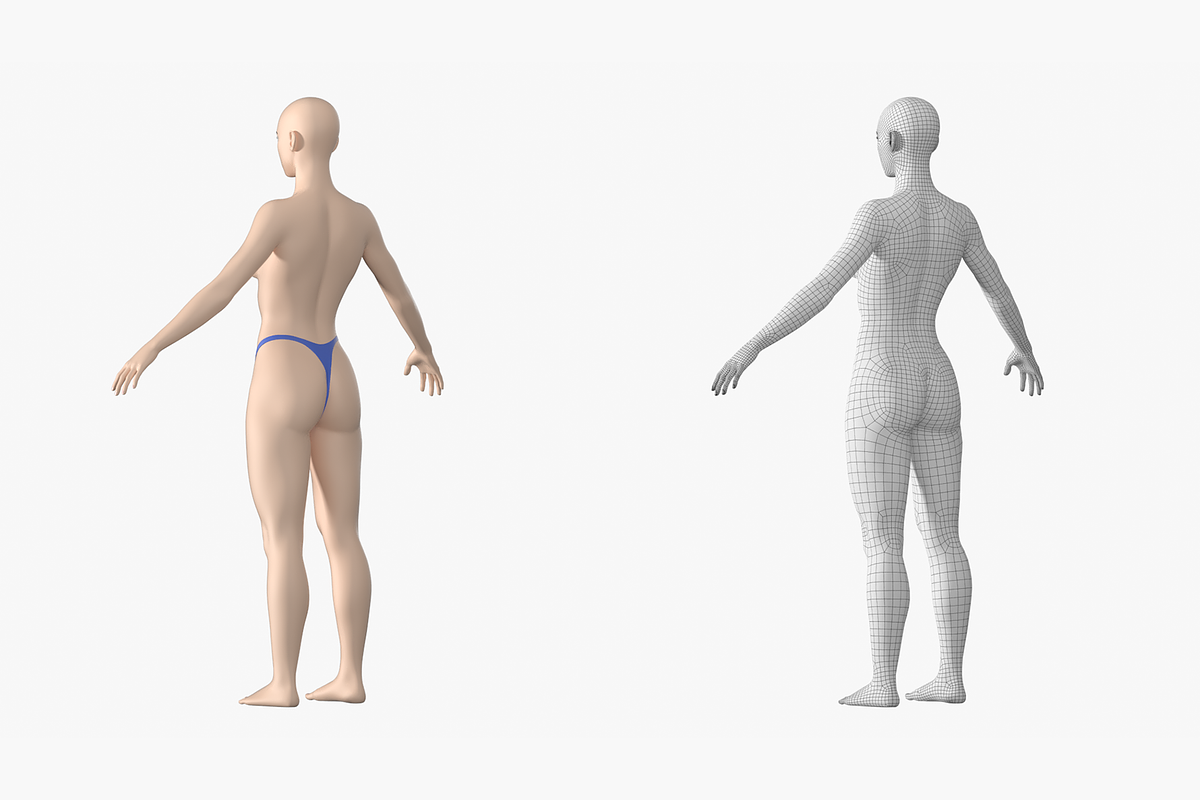 Natural Female 01 A-Pose Base Mesh, a Characters & Person 3D Model by VK Studio (Photo 8 of 26)