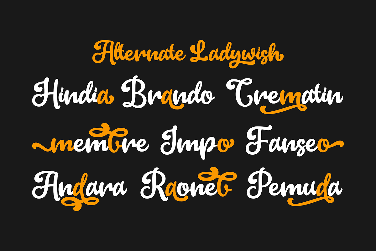 Ladywish, a Handwritten Font by ahweproject (Photo 6 of 8)