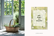 Hand Drawn Summer Backgrounds, a Background Graphic by Yuliia Lashevska (Thumbnail 7 of 10)
