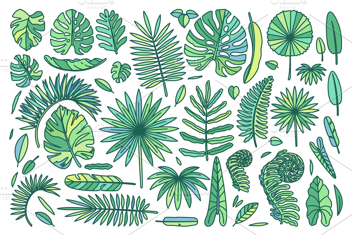 vector cute drawn plant clipart, an Object Illustration by WINDmade