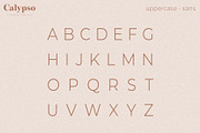 Calypso // A Modern Font Duo, a Serif Font by Megs Lang (Thumbnail 12 of 18)