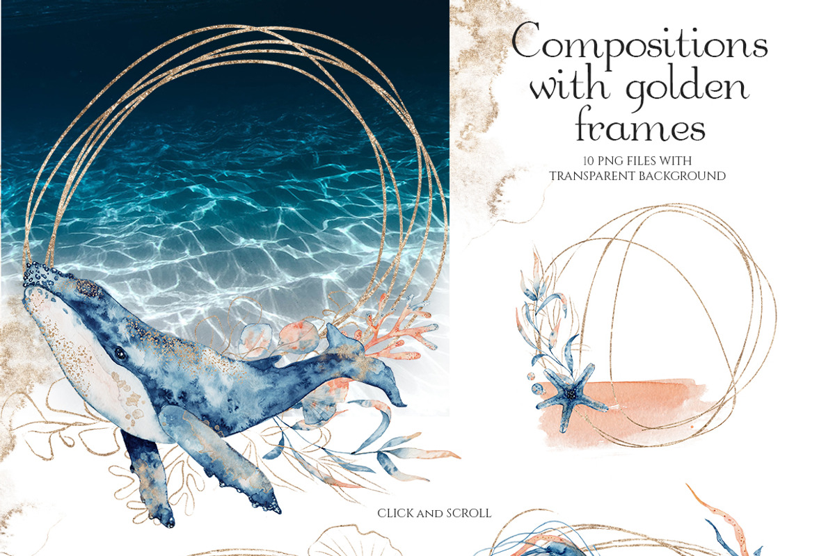 Underwater Watercolor Collection, an Animal Illustration by Evgeniia (Photo 10 of 16)