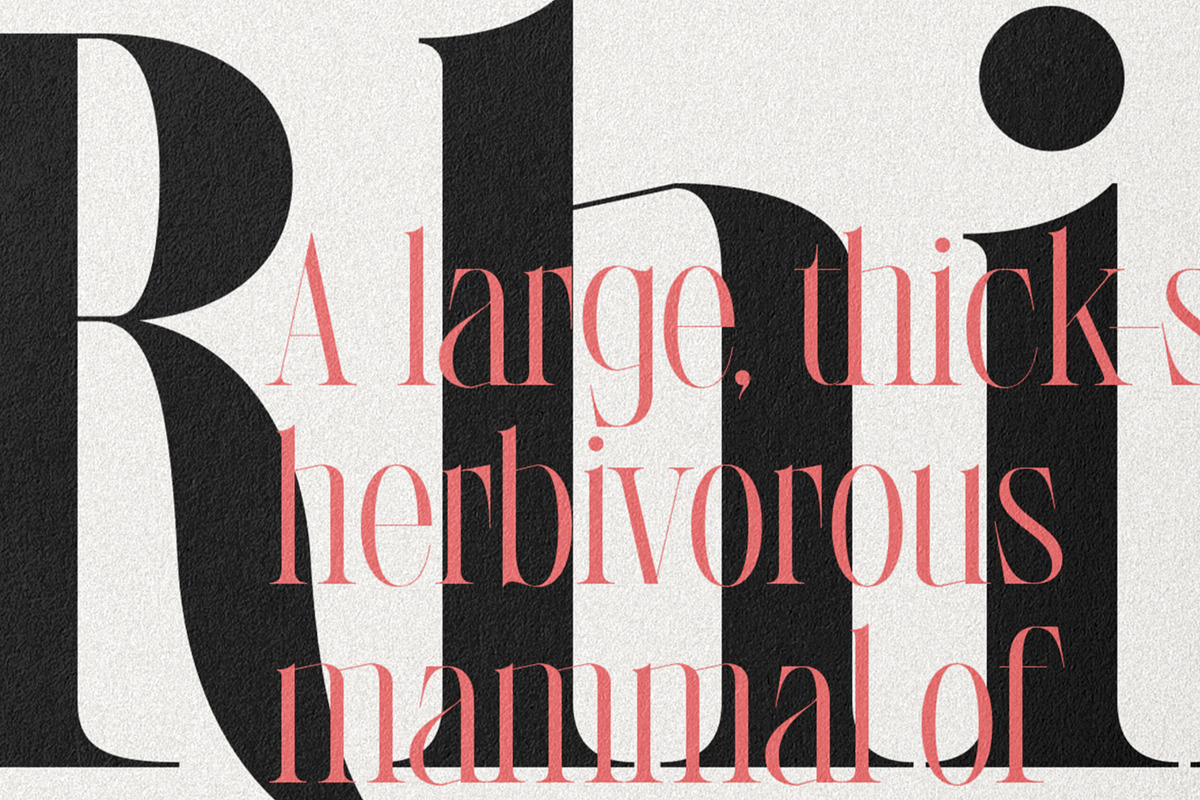 LaRuja - Light & Bold Serif Duo, a Serif Font by SilverStag Type Foundry (Photo 13 of 17)