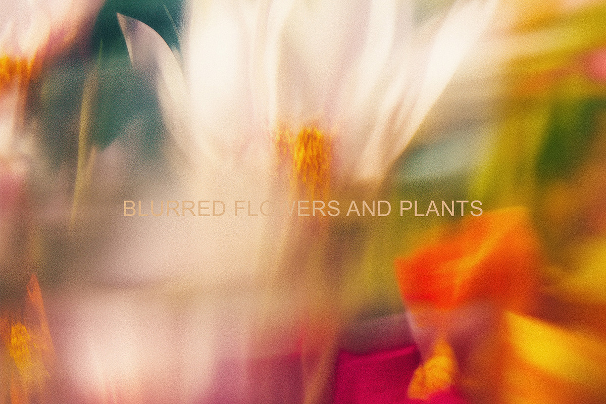 Light Flora Collection, a Background Graphic by NKate (Photo 7 of 12)
