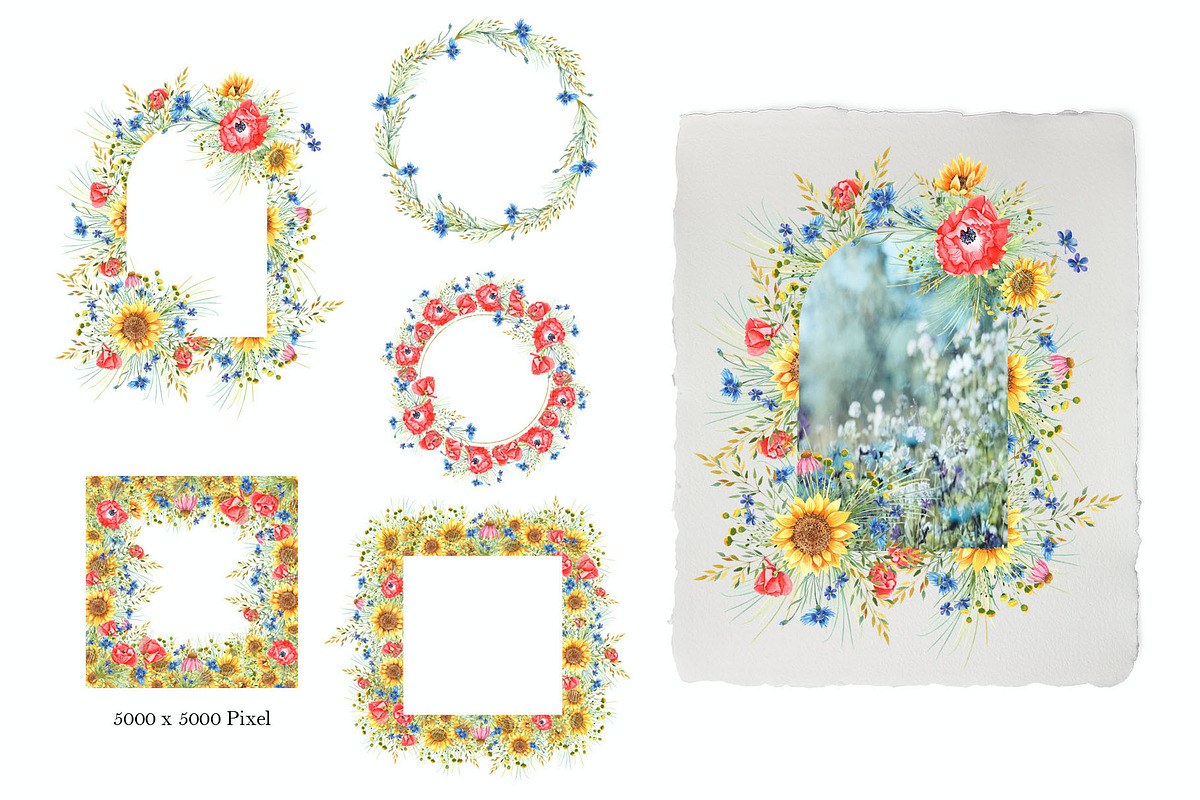 Sunflowers, an Illustration by JennyColorArt (Photo 8 of 13)