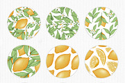 Lemon, a Decorative Illustration by Iryna Mel (Thumbnail 7 of 7)