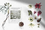 Forest Legends Winter animal set, a Seasonal Illustration by Anastezia Luneva (Thumbnail 15 of 17)
