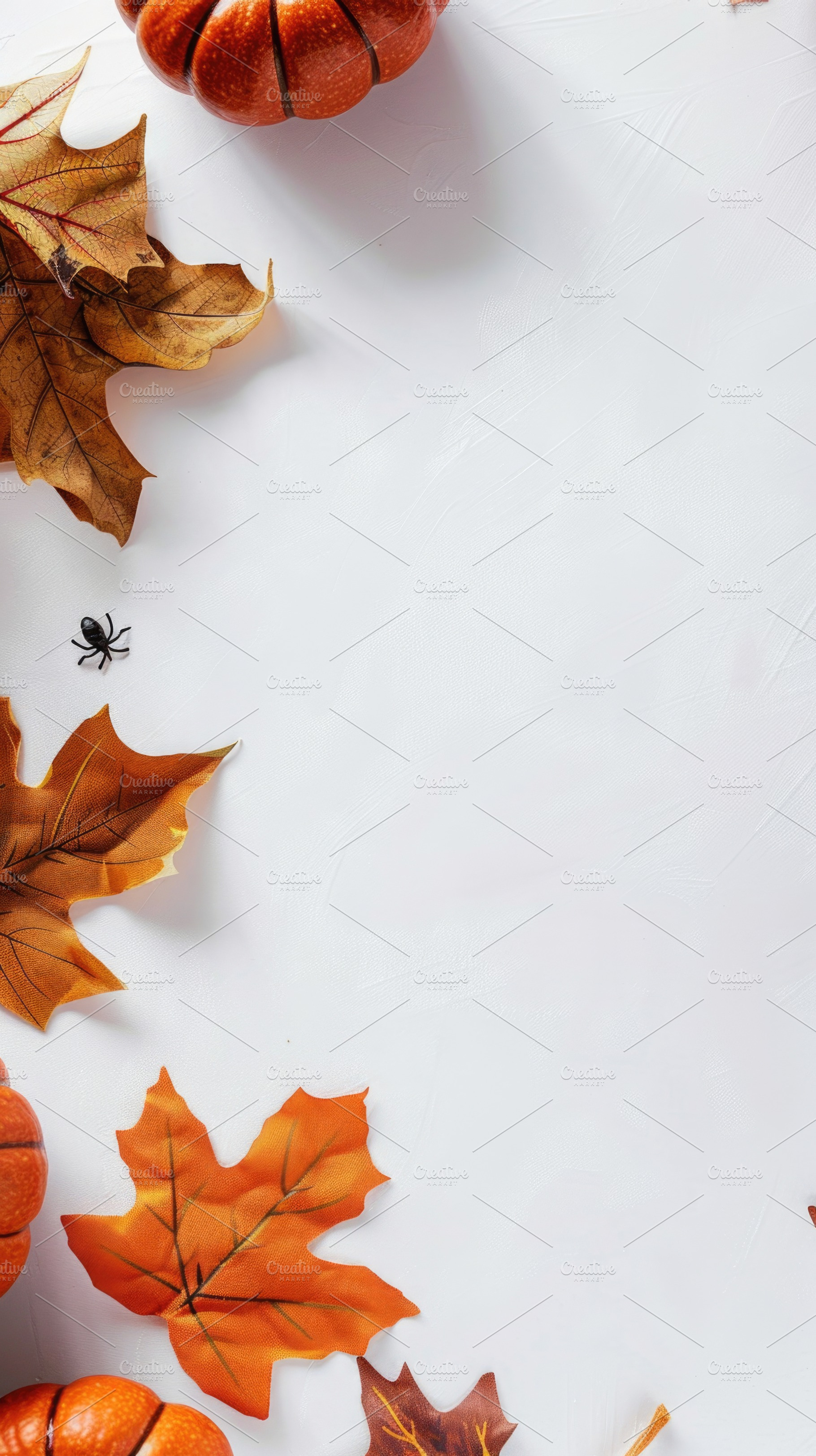 Halloween pumpkin frame with spiders and autumn leaves, a Nature Photo by José Manuel Gelpi