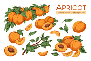 Apricots set + frame backgrounds, a Food Illustration by Good Studio