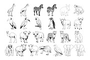 50 Safari Animals Procreate Stamps, a Brush Add-On by Procreate Sale (Thumbnail 5 of 6)