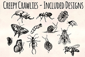 Creepy Crawly Vector Bug Bundle