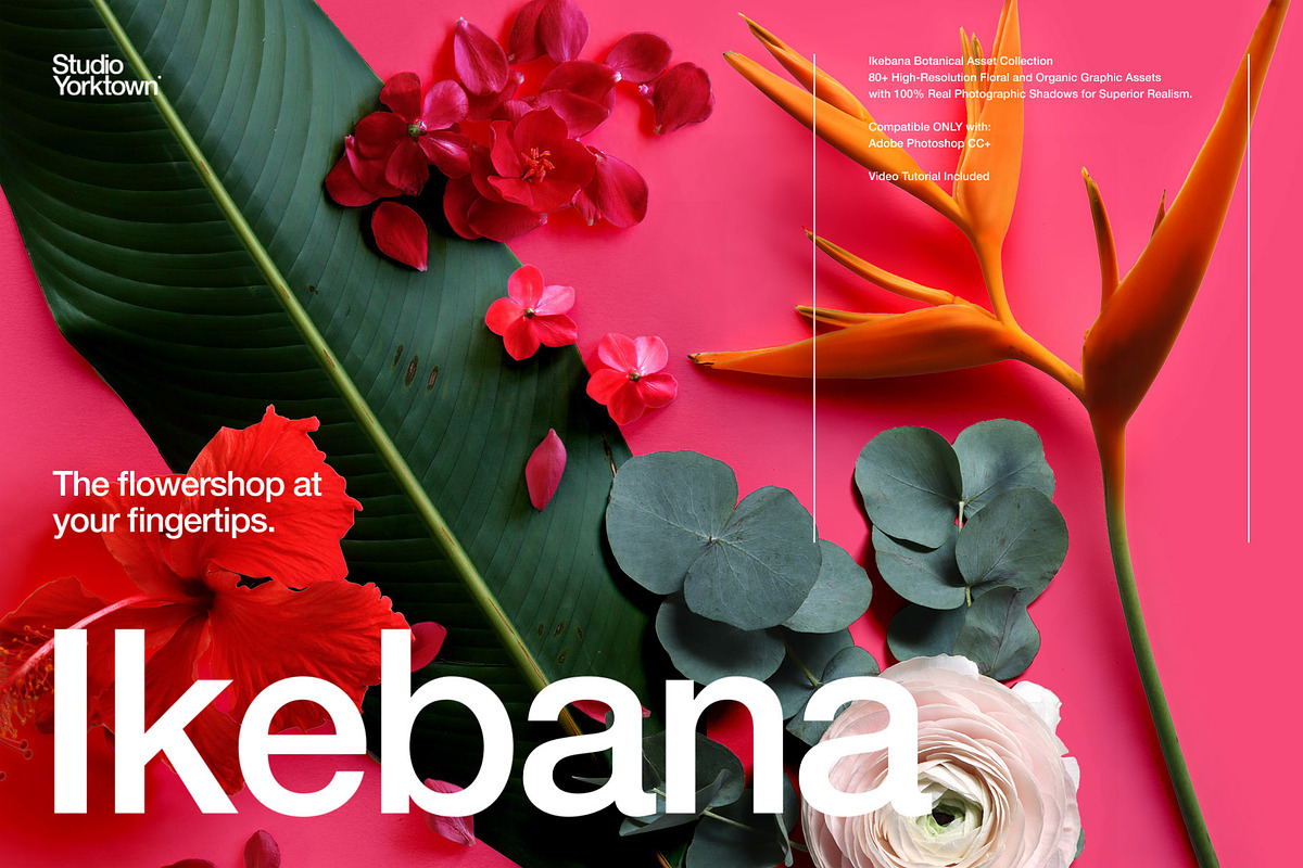 Ikebana Botanical Asset Collection, an Object Graphic by Studio Yorktown (Photo 1 of 15)