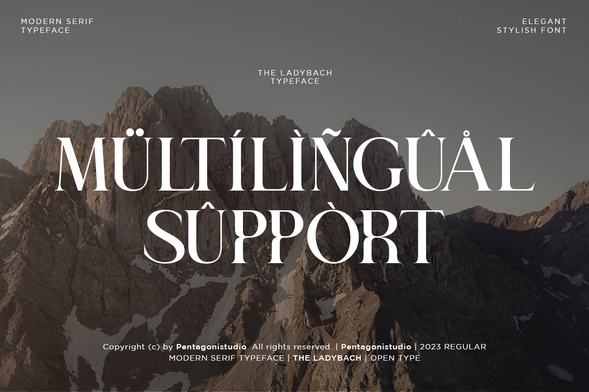 The Ladybach | Elegant Serif, a Serif Font by Pentagonistudio (Photo 10 of 10)