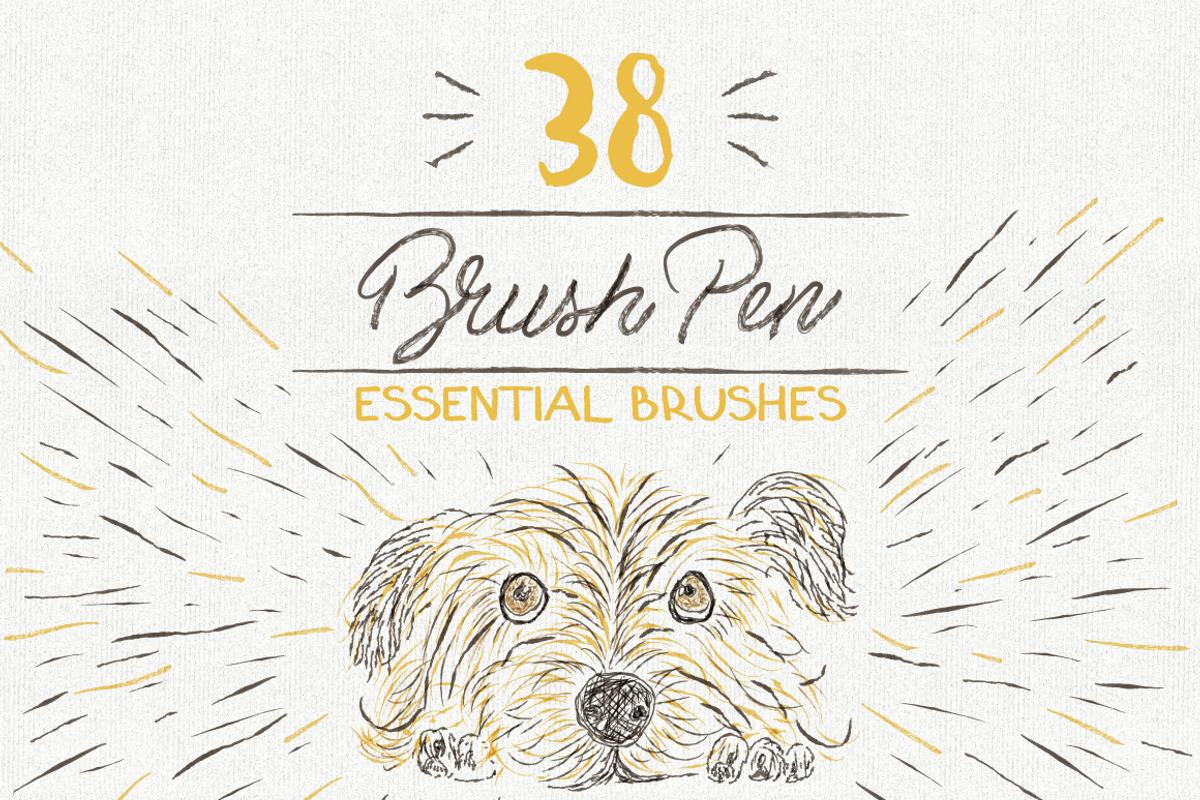 Essential Vector Brushes Collection, a Brush Add-On by Anna Ivanir (Photo 5 of 7)