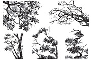 TREES - Drawn Watercolor, an Animal Illustration by BusOne (Thumbnail 1 of 2)