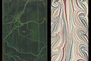 Antique Endpaper Textures, a Texture Graphic by Blue Line Design (Thumbnail 13 of 21)
