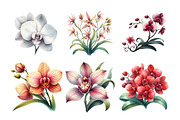 Watercolor Orchid Clipart, an Illustration by Daily.Designs (Thumbnail 3 of 5)