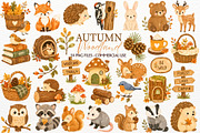 Autumn Woodland Animals Fall Clipart, an Animal Illustration by SugarCloudStudioArt (Thumbnail 1 of 6)