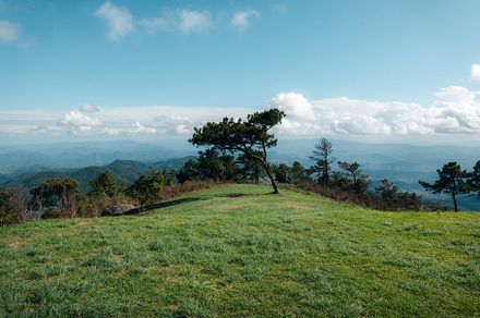 Green fields on the mountains in summer, a Nature Photo by Art Rachen