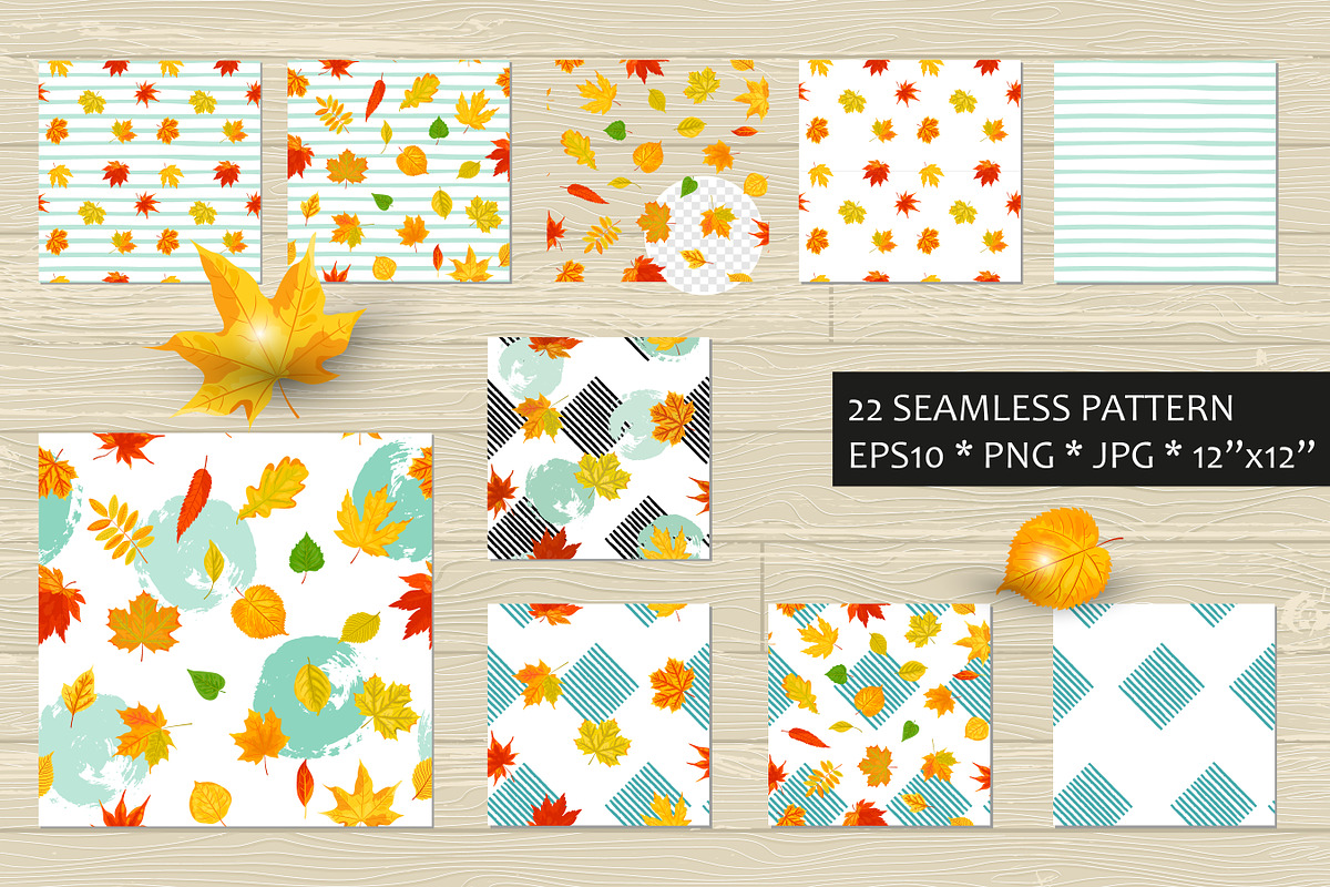 Autumn leaves vector collection, a Seasonal Illustration by VaraNa Art (Photo 13 of 15)