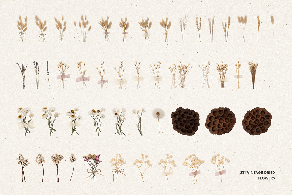 231 Vintage Dried Flowers, an Object Graphic by Ksuview (Photo 4 of 8)
