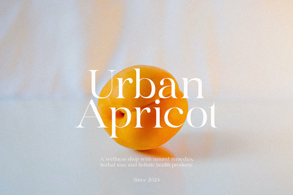 Hikari - Elegant & Modern Serif, a Serif Font by Mikhail Fukurou (Photo 3 of 11)