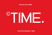 DV Curtis Sans, a Sans Serif Font by Damelev (Thumbnail 17 of 18)