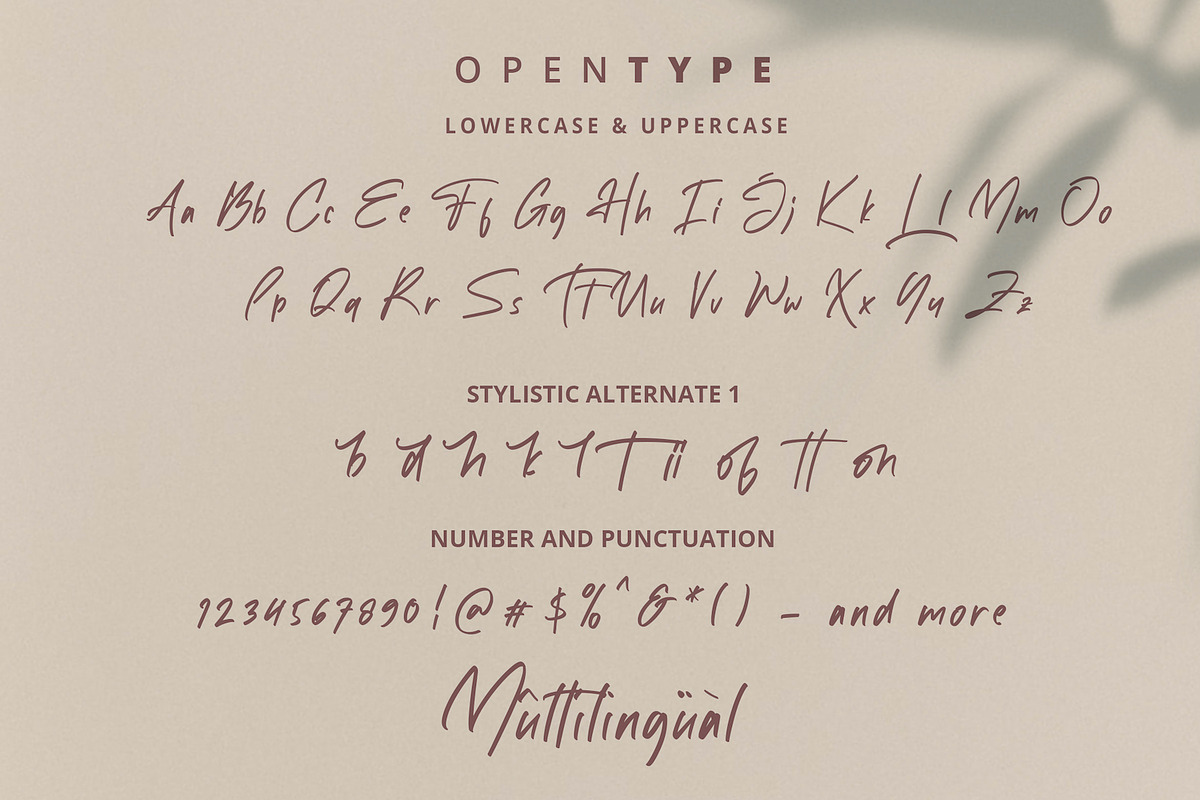 White Mellow - Handwritten Font, a Script Font by StringLabs (Photo 11 of 11)