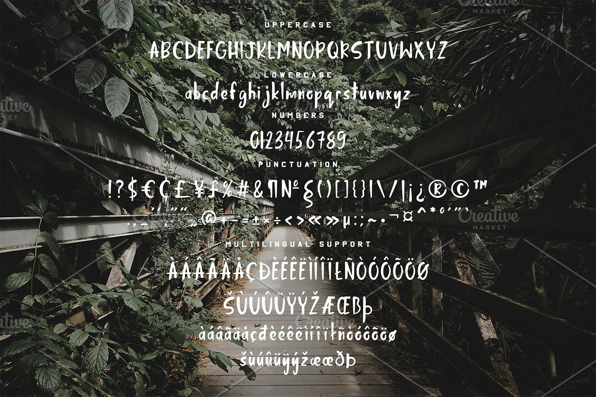 Jungle Display Font, a Script Font by Nadezda (Photo 8 of 8)