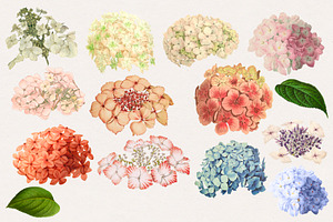 Vintage Watercolor Hydrangeas